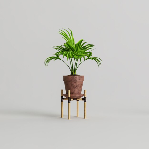 3d illustration de plantes d'intérieur en terre cuite isolé sur fond blanc