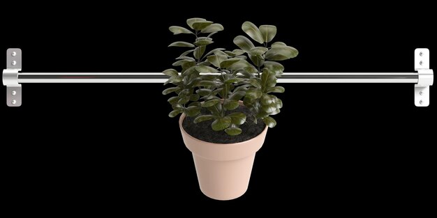 3d illustration de plantes suspendues isolées sur fond noir