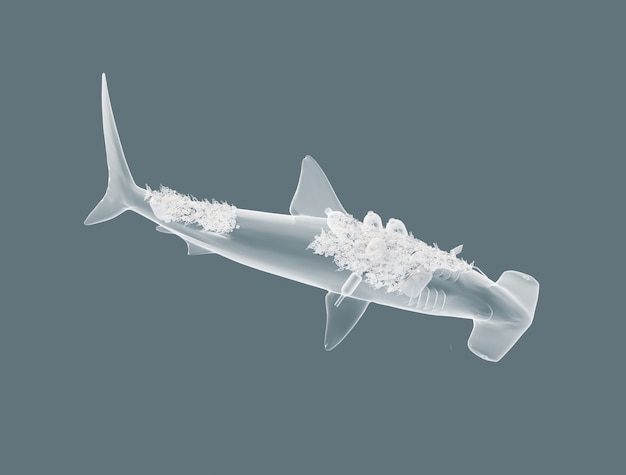 3d illustration de requin marteau