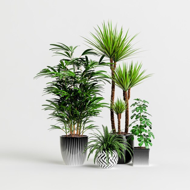 3d illustration de set plante d'intérieur en pot isolé sur fond blanc