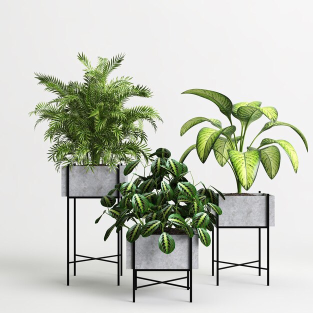 3d illustration de set plante d'intérieur en pot isolé sur fond blanc