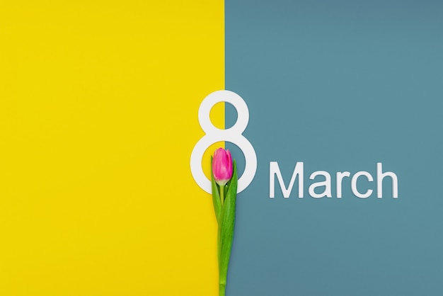 8 mars, félicitations, journée internationale de la femme. fleurs sur fond coloré, place pour le texte. Convient pour la publicité, les cartes postales, les félicitations. Espace de copie