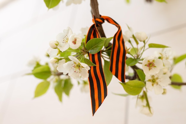 9 mai ruban de vacances de StGeorge et fleurs de cerisier Symbole traditionnel du Jour de la Victoire 1945