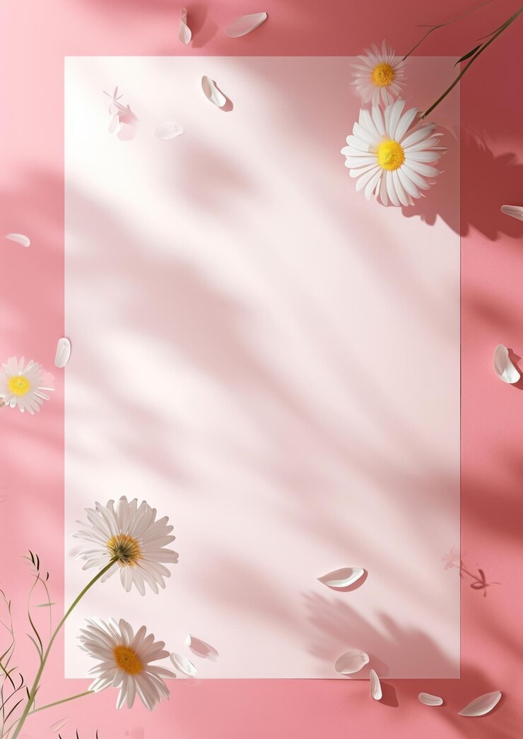 Photo a0 affiche d'emballage pétale de fleur de marguerite