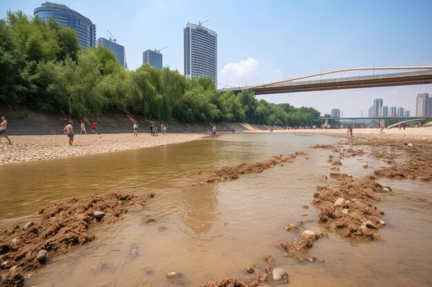 L'abaissement du niveau de l'eau dans la rivière vue d'été chaud