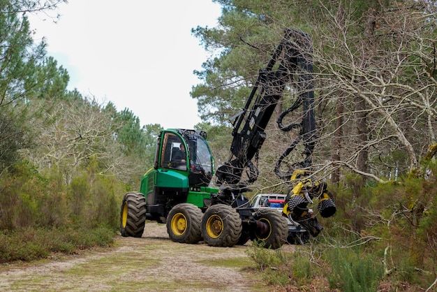 Photo abatteuse de véhicules forestiers lourds de tracteur travaillant dans la forêt d'arbres