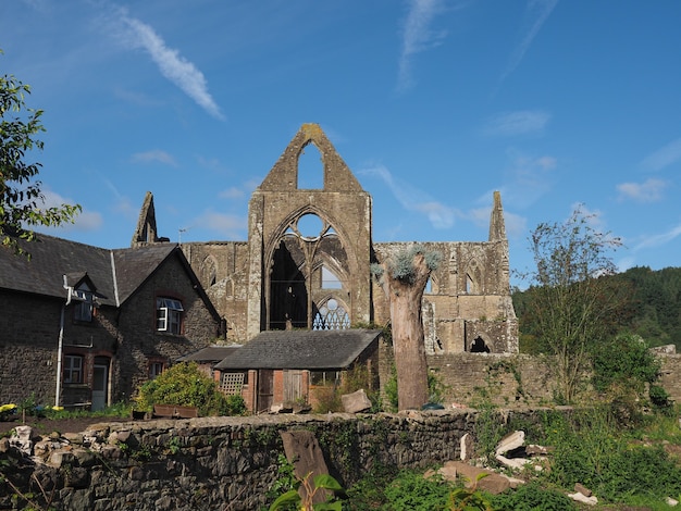 Abbaye de Tintern (Abaty Tyndyrn) à Tintern