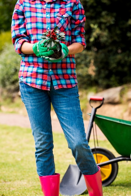 Abdomen de femme tenant une plante en pot