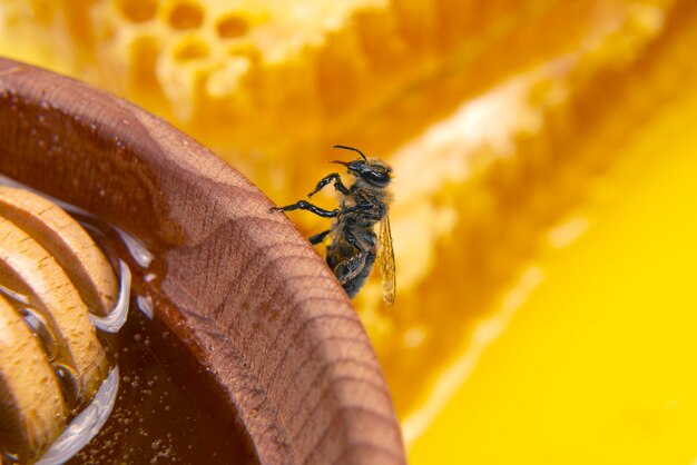 L'abeille est assise sur un plat en bois avec un gros plan en nid d'abeille frais. insectes et aliments vitaminés biologiques