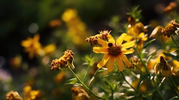 une abeille sur une fleur jaune