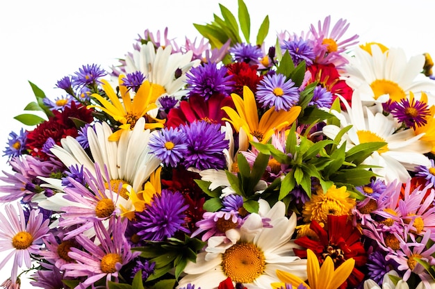 Une abondance de belles fleurs épanouies dans un seul bouquet d'été.