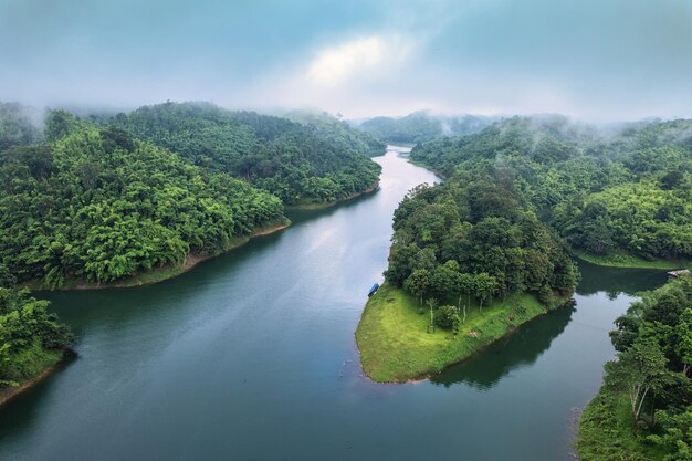 Abondance forêt tropicale avec brouillard et rivière traversant le matin au parc national