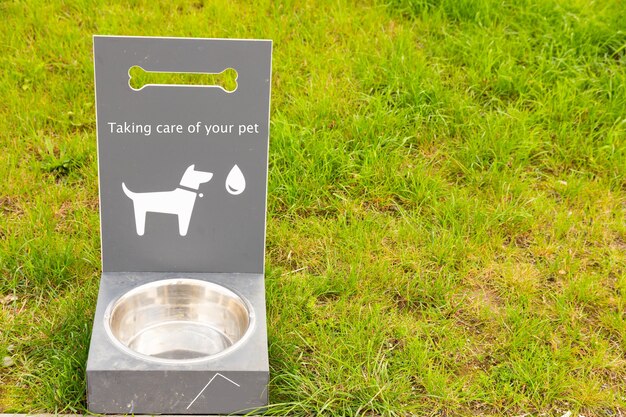 Abreuvoir portable pour chiens et chats sur herbe verte.