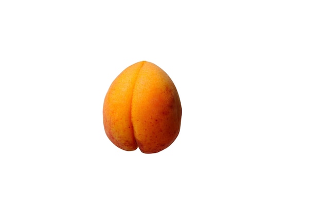 Abricot entier unique isolé sur fond blanc