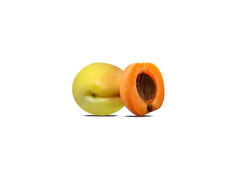 Photo l'abricot est un fruit comestible nutritif et l'abricot séché est un type de fruit séché traditionnel