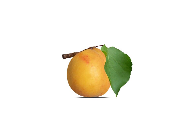 Photo l'abricot est un fruit comestible nutritif et l'abricot séché est un type de fruit séché traditionnel