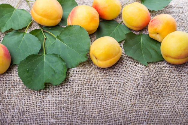 Abricots dans un bol lors du limogeage.