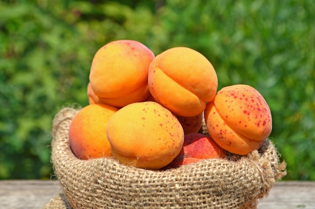 Abricots sur ensachage sur table en bois sur fond de nature