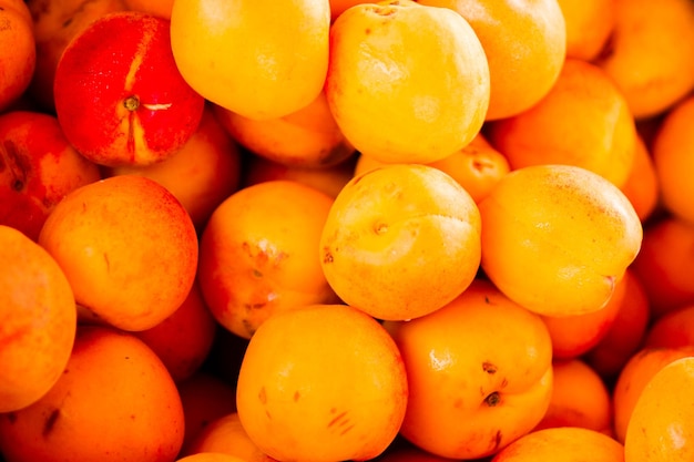 Abricots frais au marché fermier local.