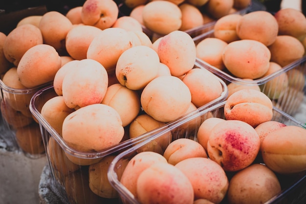 Photo abricots frais délicieux fruits d'été