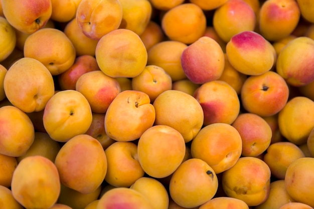 Abricots frais sur le marché