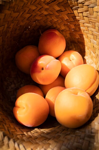 Abricots frais et mûrs dans un chapeau de paille Délicieux fruits d'été