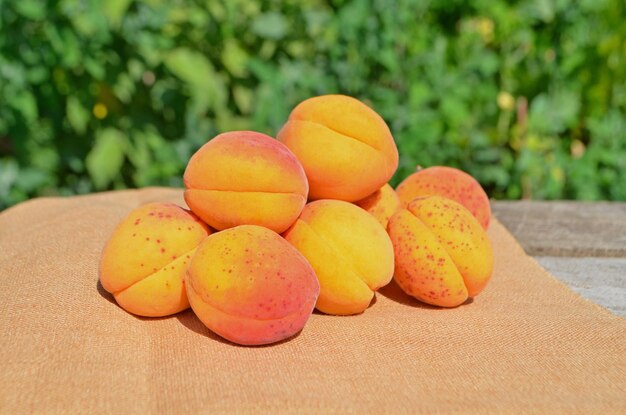 Abricots frais sur une table en bois