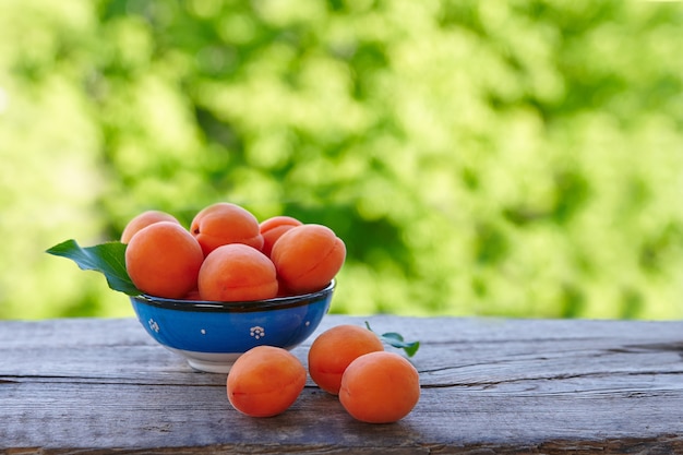 Abricots mûrs dans un bol bleu sur une table en bois rustique à l'extérieur