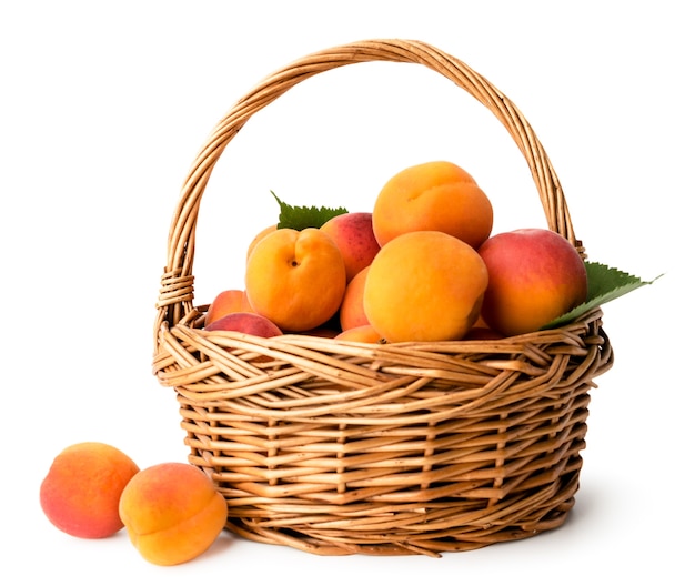 Abricots mûrs dans un panier sur fond blanc