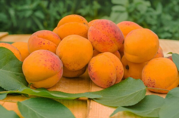 Abricots mûrs et feuilles d'abricot sur le bois Abricots avec des feuilles sur le vieux fond en bois