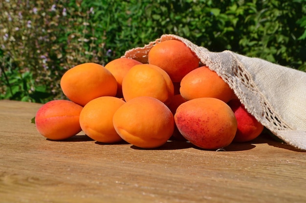 Abricots mûrs sur fond vert Abricots frais sur une table en bois