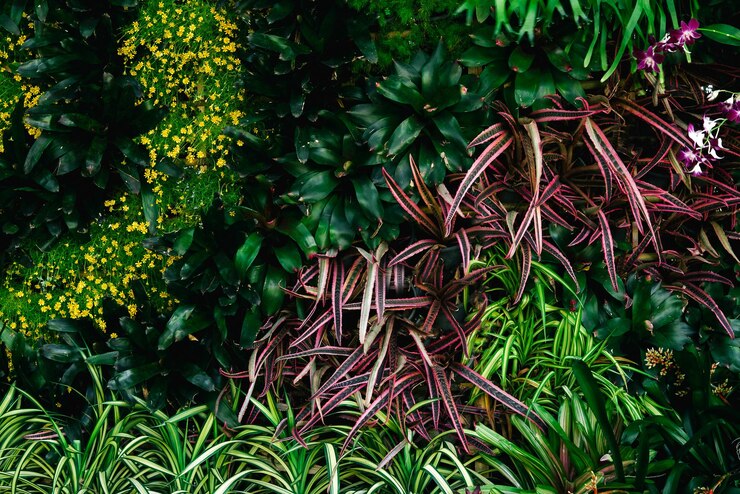 Photo abstraction texture des feuilles vertes feuilles tropicales nature fond vert foncé