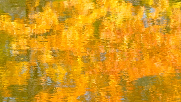 Abstrait automne avec effet de réflexion