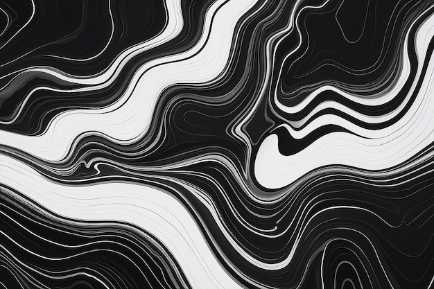 Abstrait Contour modèle de ligne topographique en noir et blanc