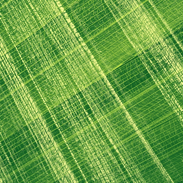 Abstrait créatif du motif de feuille de palmier.