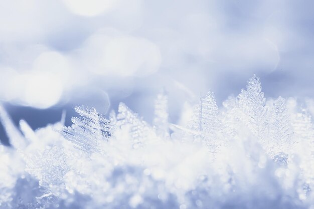 abstrait hiver fond givre givre glace neige saisonnier