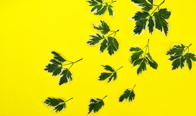 Abstrait jaune