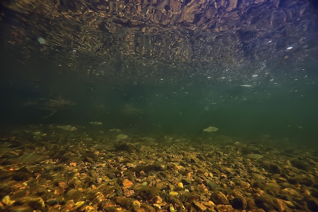 abstrait sous-marin dans le lac, eau douce propre