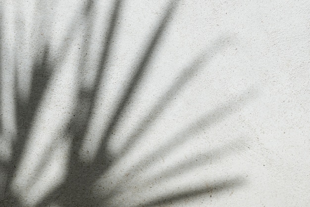 Abstrait texture de feuilles de palmier d'ombres sur un mur de béton