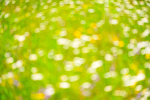 Abstrait vert flou avec effet bokeh