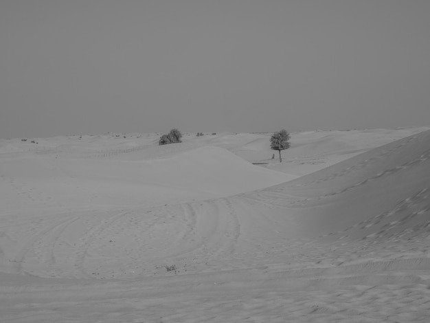 Abu Dhabi et le désert