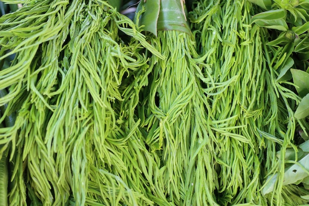 Acacia pennata au marché