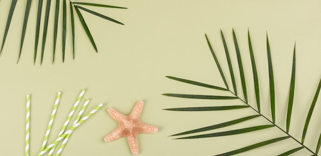 accessoires de plage avec coquillages et étoiles de mer sur une surface colorée