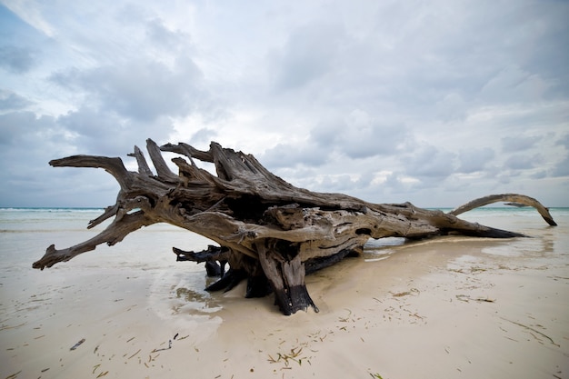 Accrochage au bord de l'océan