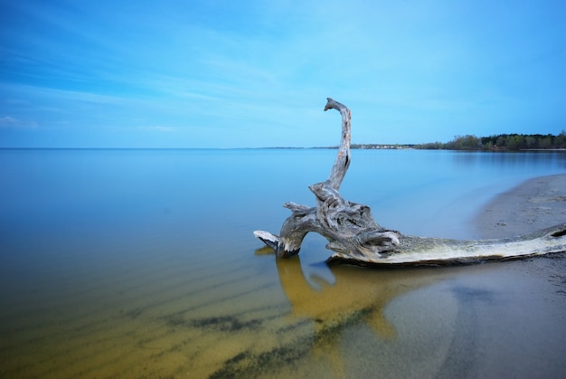 Accrocher dans l'eau