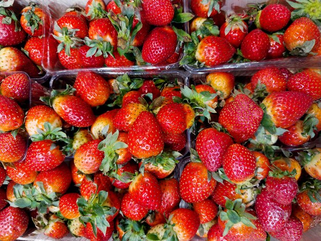 Photo acheter des fruits au marché des fraises et des baies