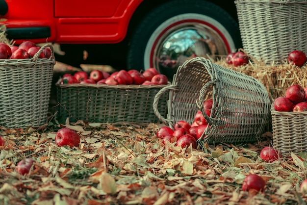 action de grâces, décor d'automne, décoration de mariage d'automne, style vintage