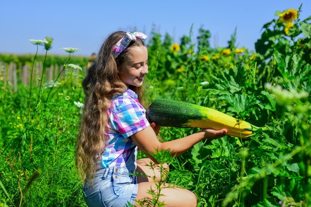 Activités horticoles enfant cultiver des courgettes dans le jardin agriculture adolescente sur la ferme de squash vacances d'été riche récolte et agriculture enfance heureuse enfant rétro tenir une moelle végétale saine