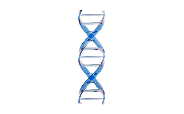 ADN avec concept biologique rendu en 3D