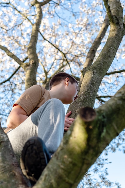 Photo un adolescent assis sur une branche d'un magnolier en fleur